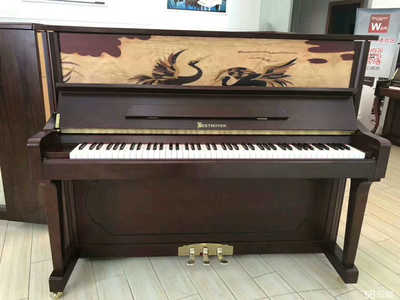 嘉峪關(guān)貝多芬文化藝術(shù)信息咨詢