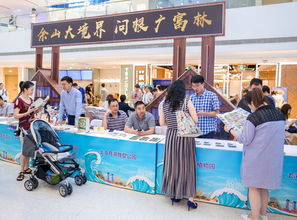 松江最好玩的時候到了 2019盛夏狂歡季重磅來襲